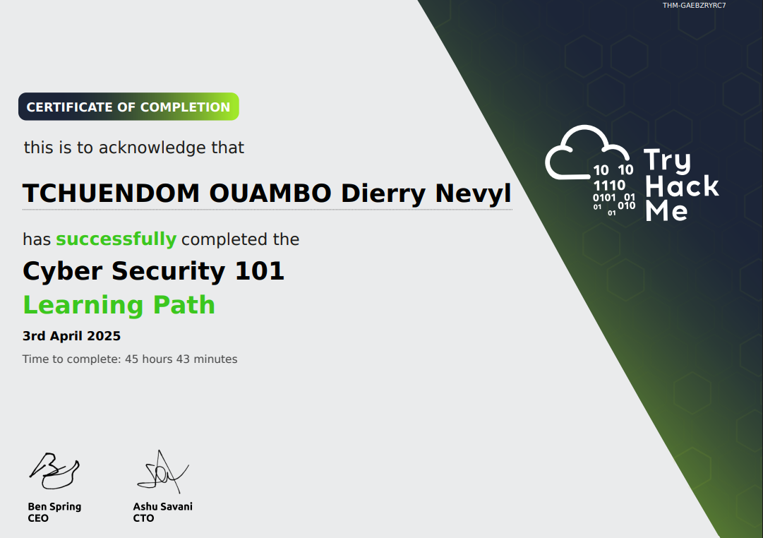 Cyber Security 101